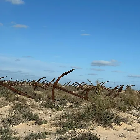 Casa Girassol, Tavira Sea View, 2 Minutes To Ferry *